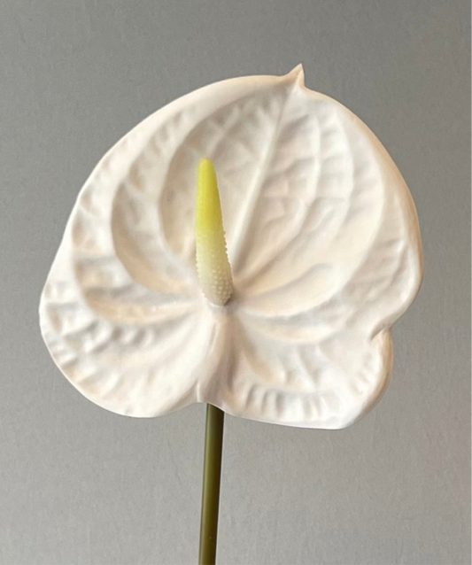 White Anthurium Single Stem small Artificial Flower Faux Flower