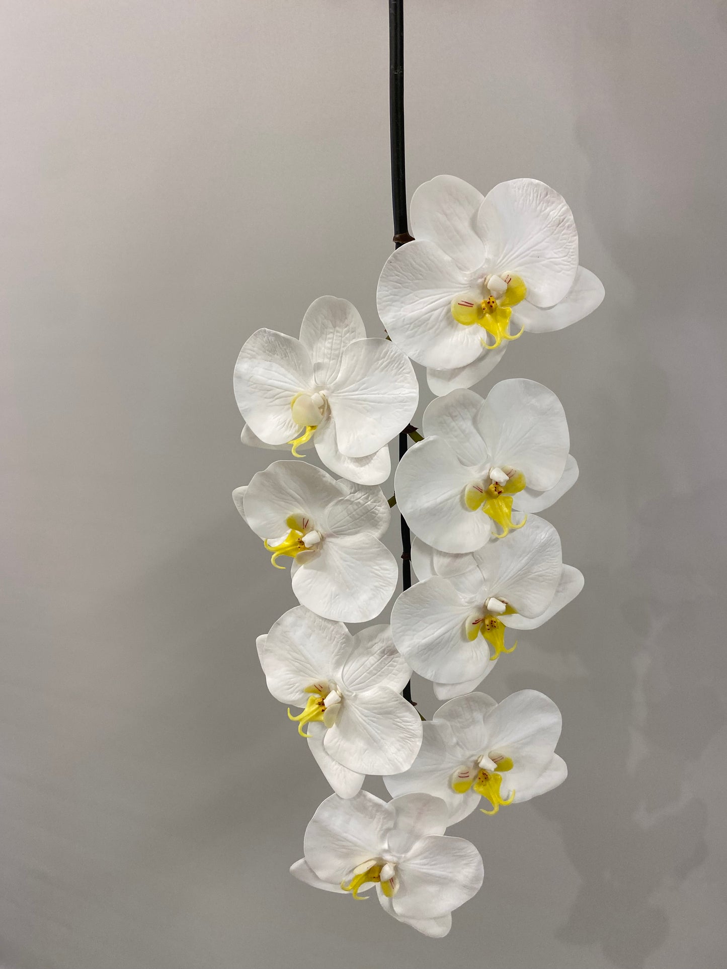 Real Touch White Orchid Black Stem Artificial Flower B8