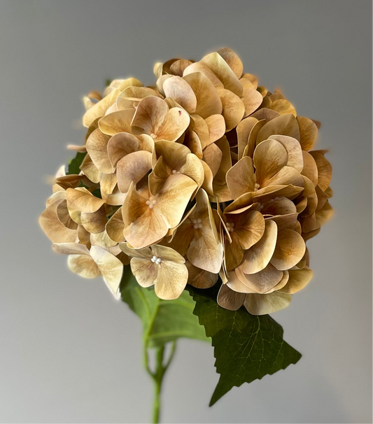 Coffee Latex Hydrangea Artificial Flower Single Stem