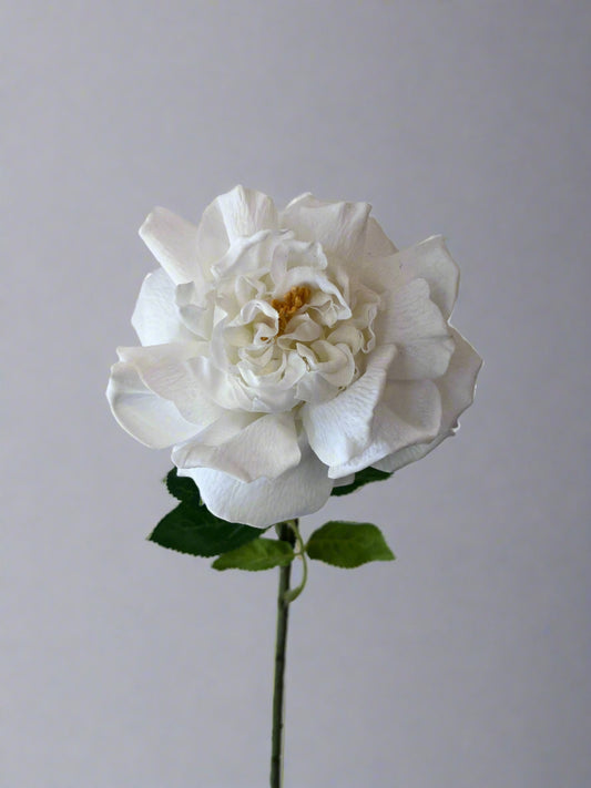 Real Touch White Austin Rose Single Stem   (Artificial flowers Faux Flowers)