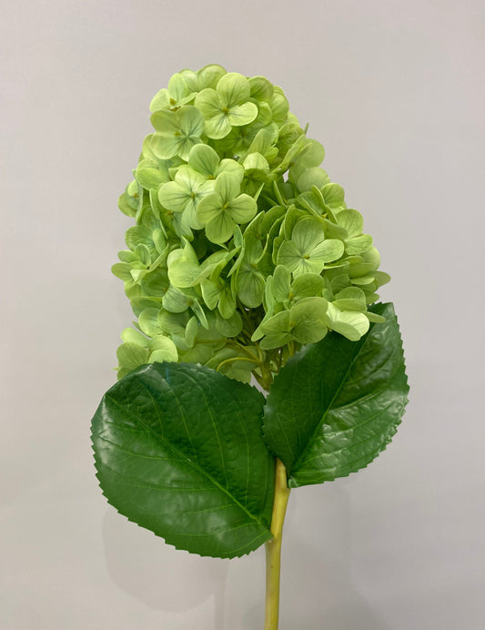 Real Touch Green Hydrangea Paniculata Cone  Single Stem  Artificial Flowers