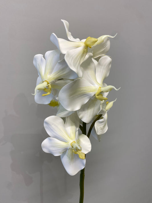 Real Touch White Vanda Orchid Single Stem Artificial Faux Flowers