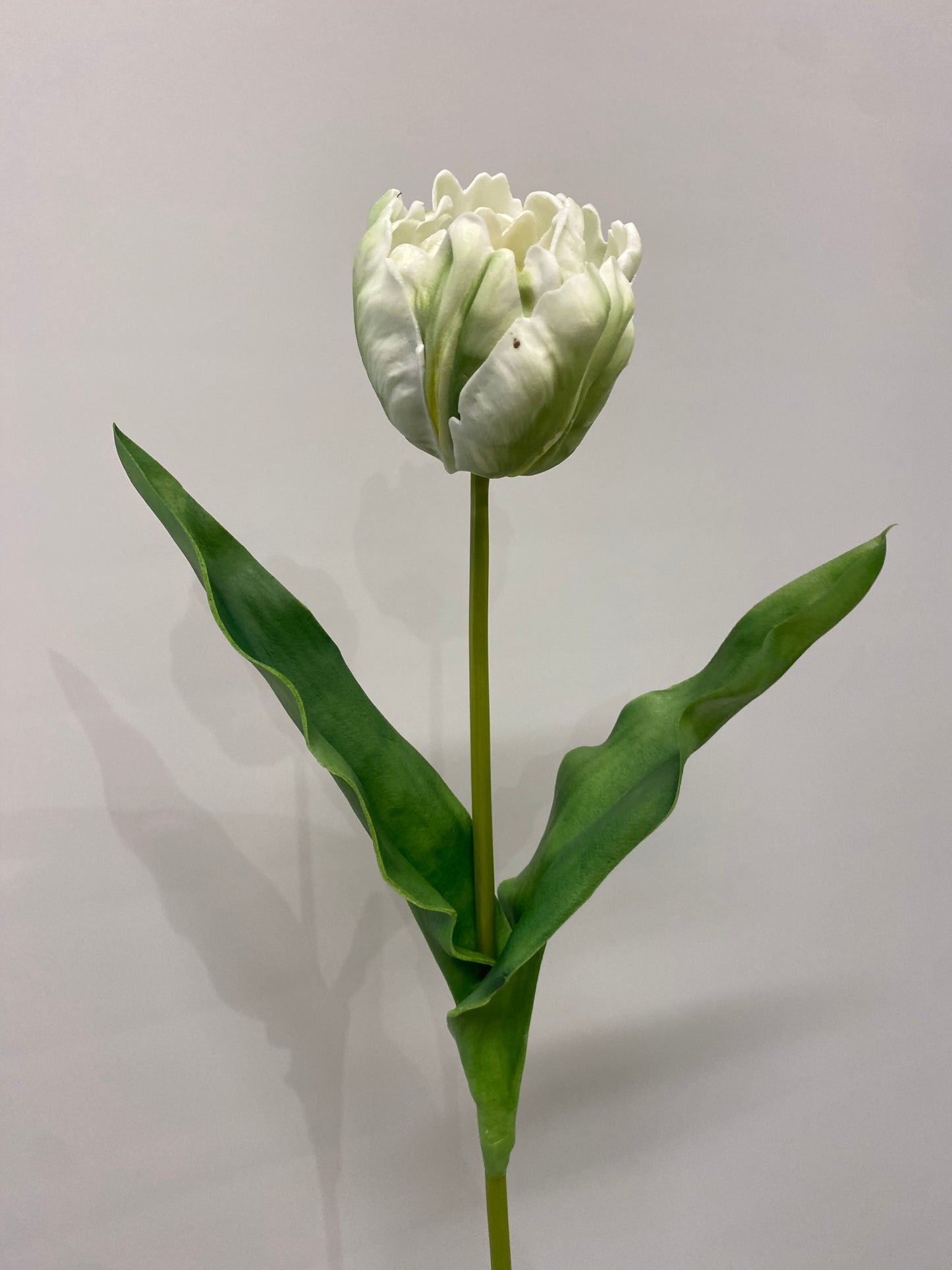 Real Touch White Open Tulip  Single Stem Artificial Faux Flowers LT