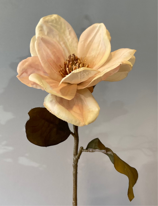 Cream Magnolia Artificial Flower Single Stem