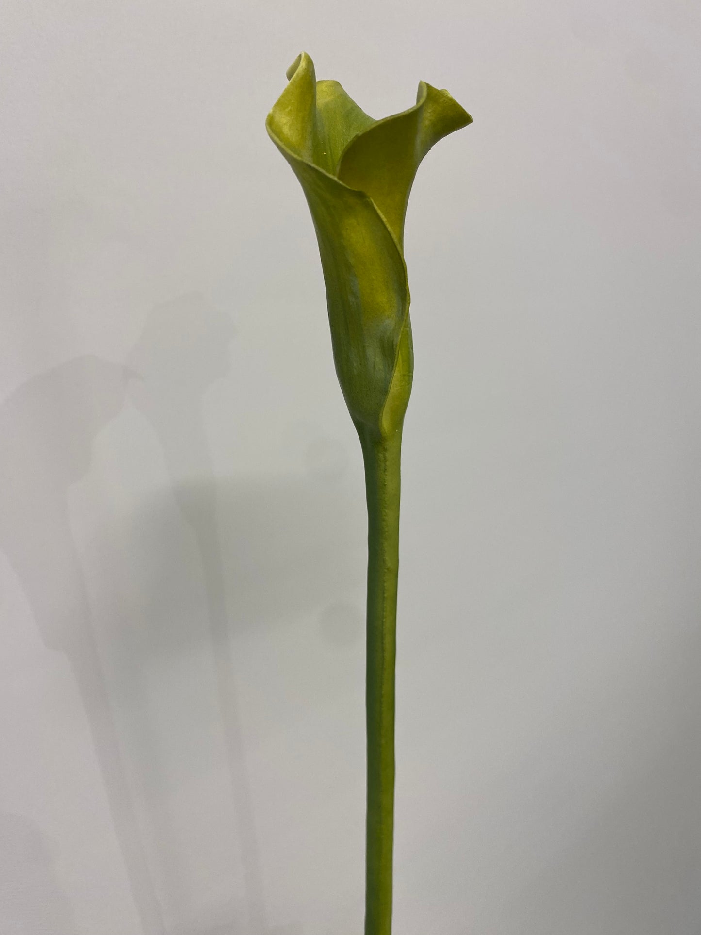 Real Touch Green Calla Lily Single Stem Artificial  Flowers