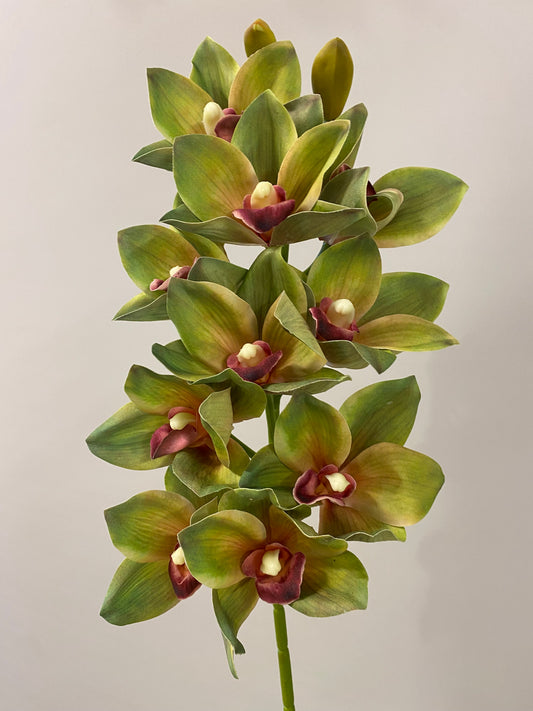 Green Orchid Cymbidium Real Touch Single Stem Artificial Flowers
