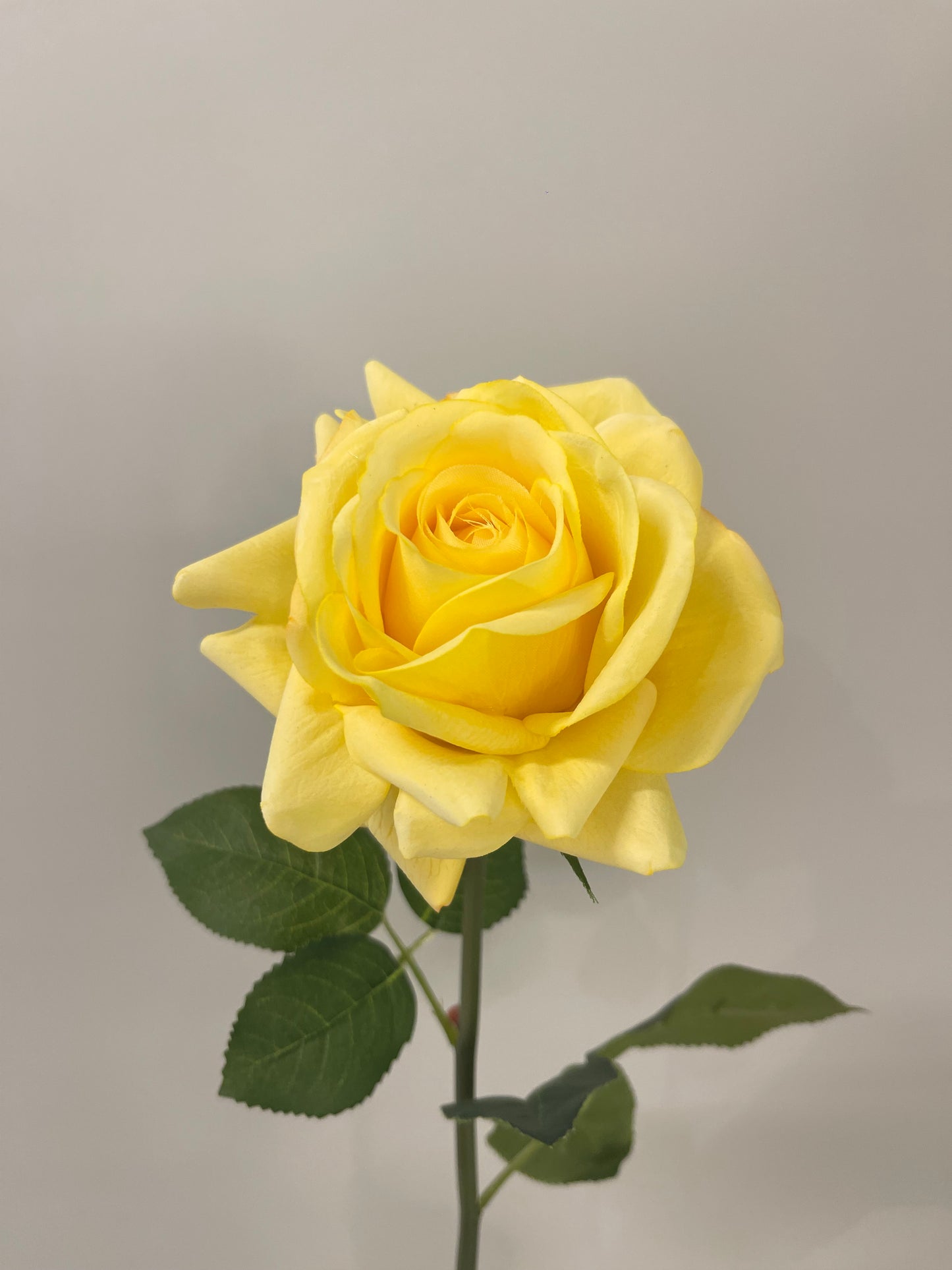 Real Touch Yellow Hannah Rose Single Stem