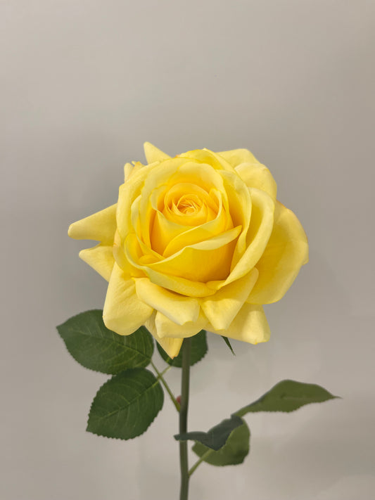 Real Touch Yellow Hannah Rose Single Stem
