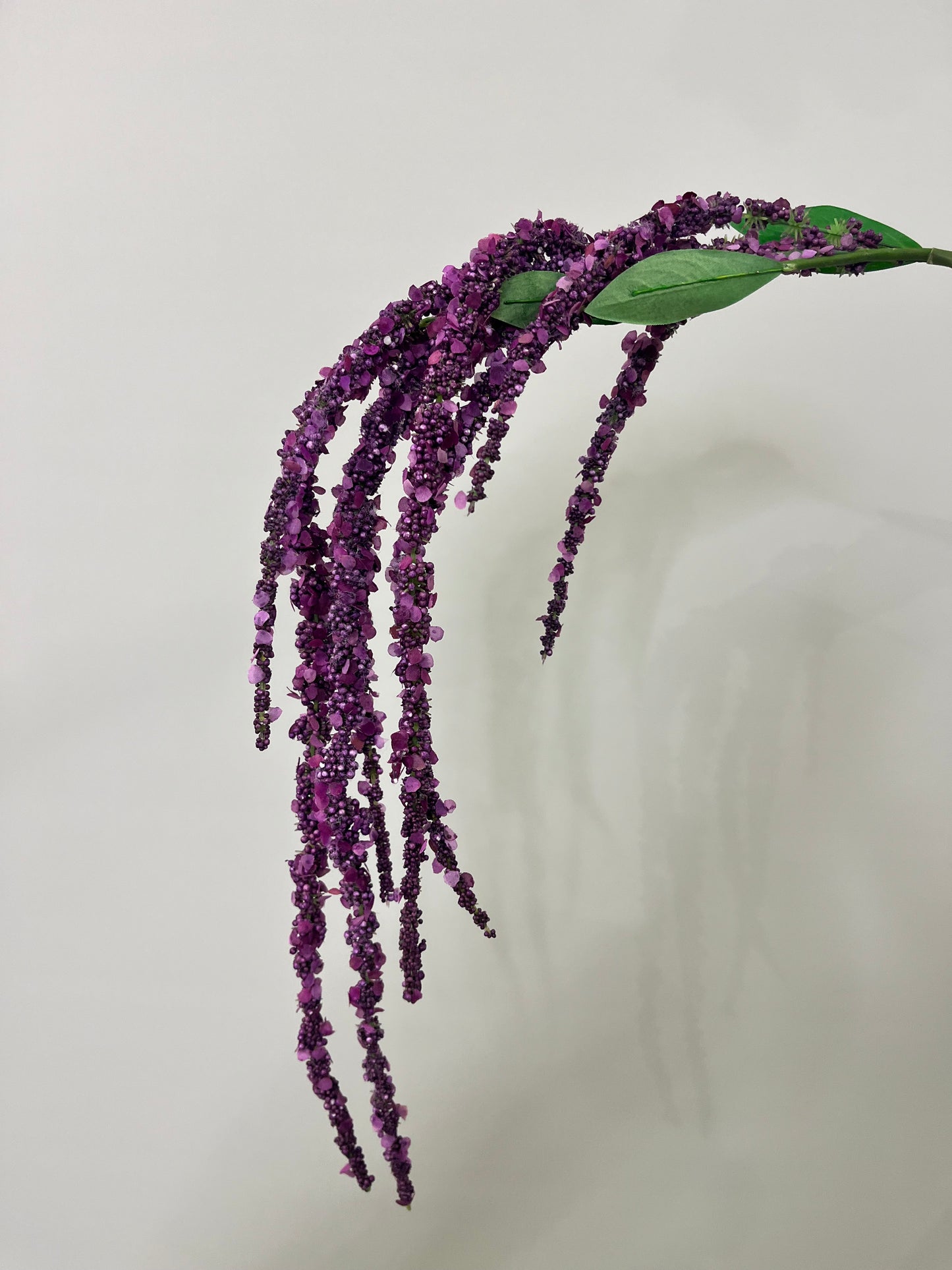 Purple Hanging Amaranthus Single Stem