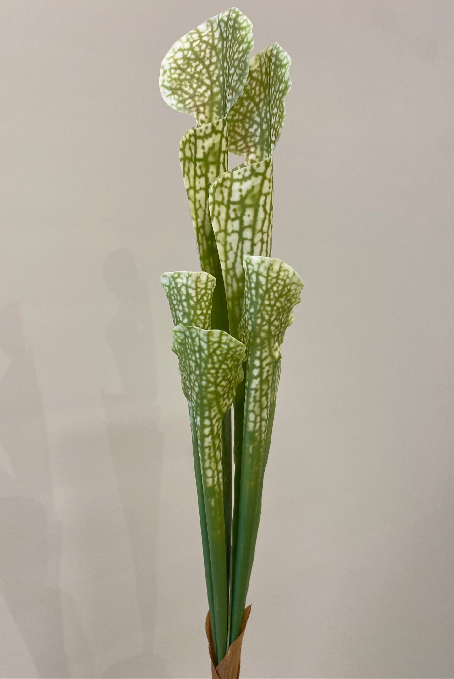 Monkey Cup Single Stem Artificial Flowers Faux Flowers