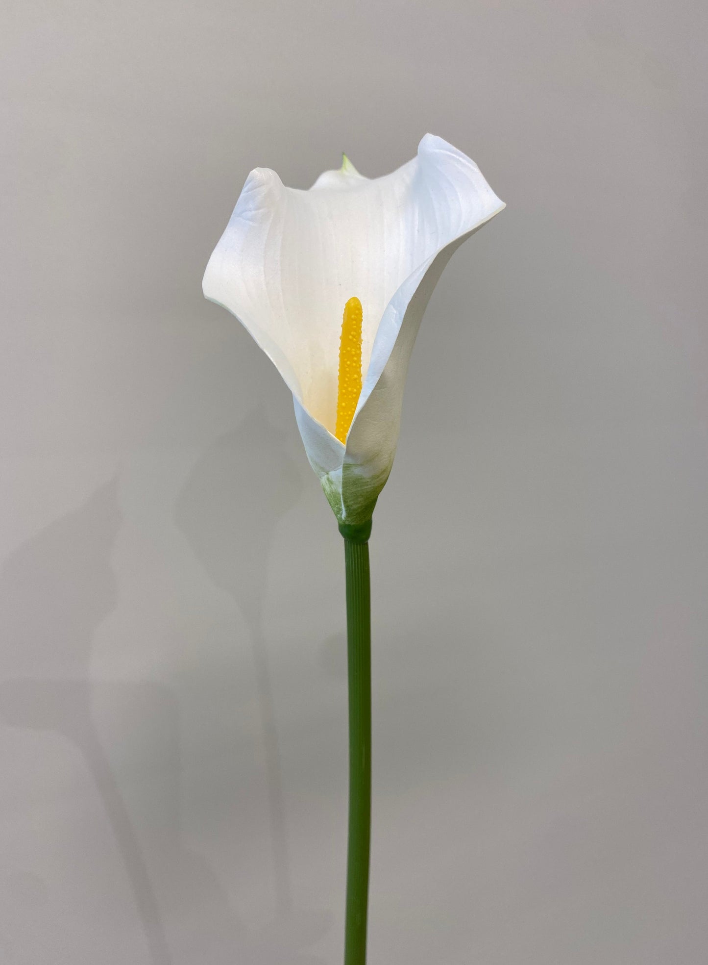 Real Touch Mini White Calla Lily Single Stem Artificial Faux Flowers