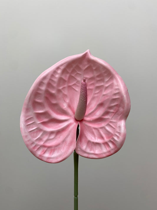 Blush Anthurium Single Stem Artificial Flowers Small