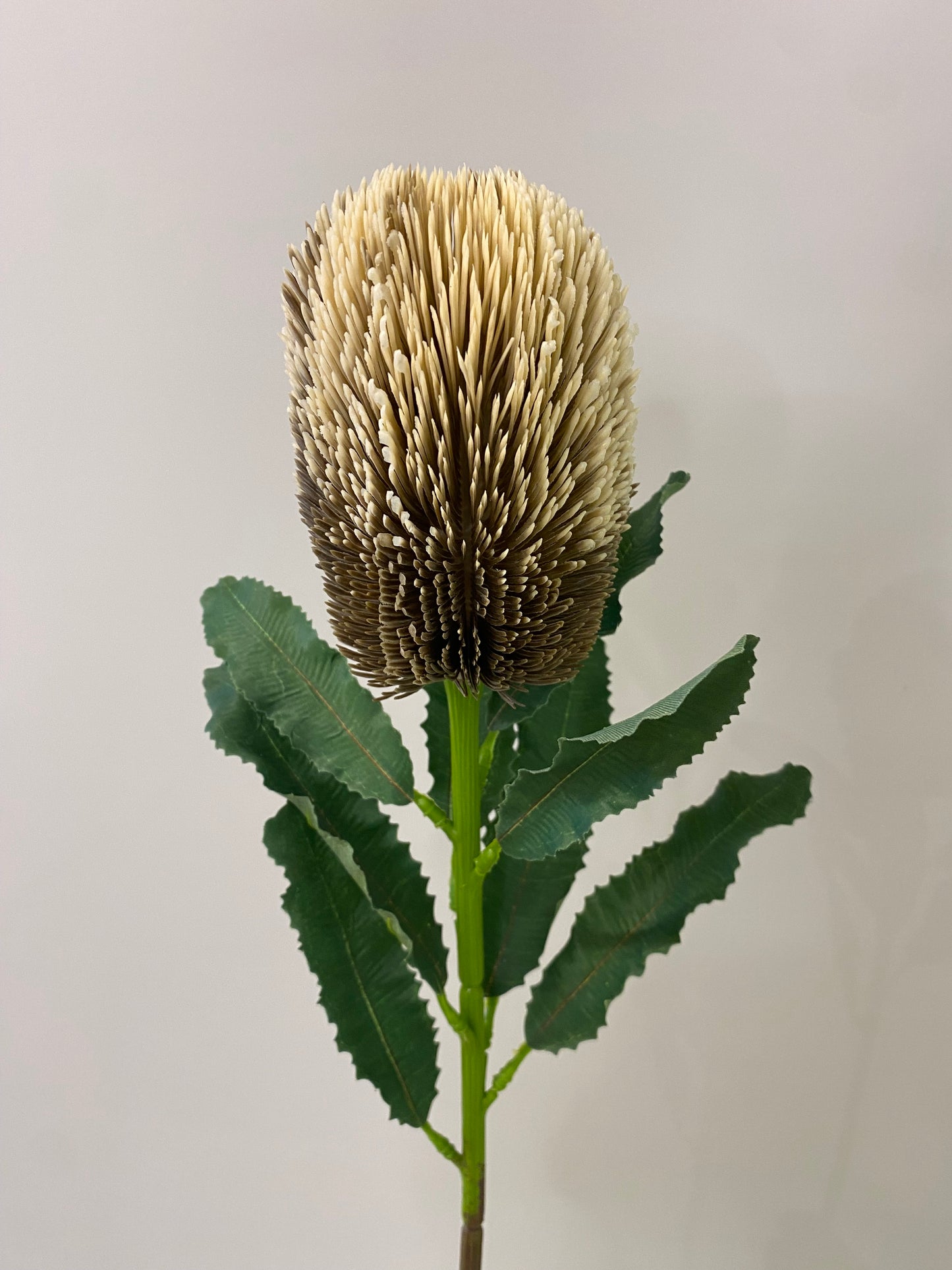 Brown Banksia Artificial Single Stem Artificial Flowers