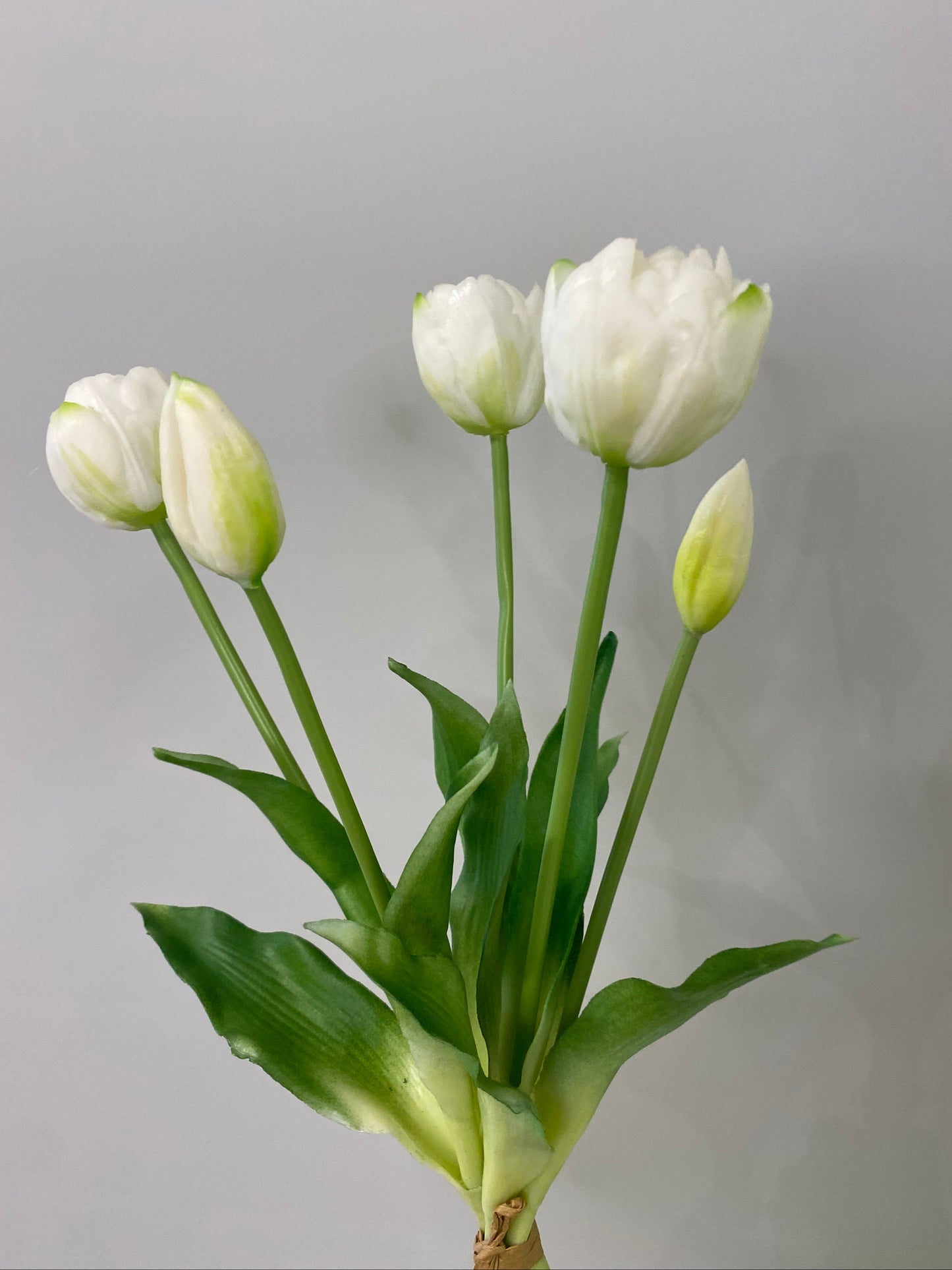Real Touch Tulips White And Green Bunch Artificial  Faux Flowers