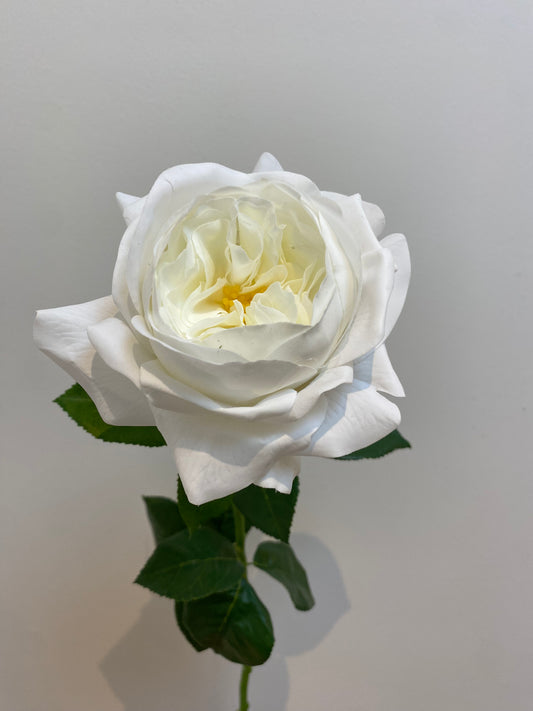 Real Touch White Austin Rose Single Stem   Artificial flowers A1