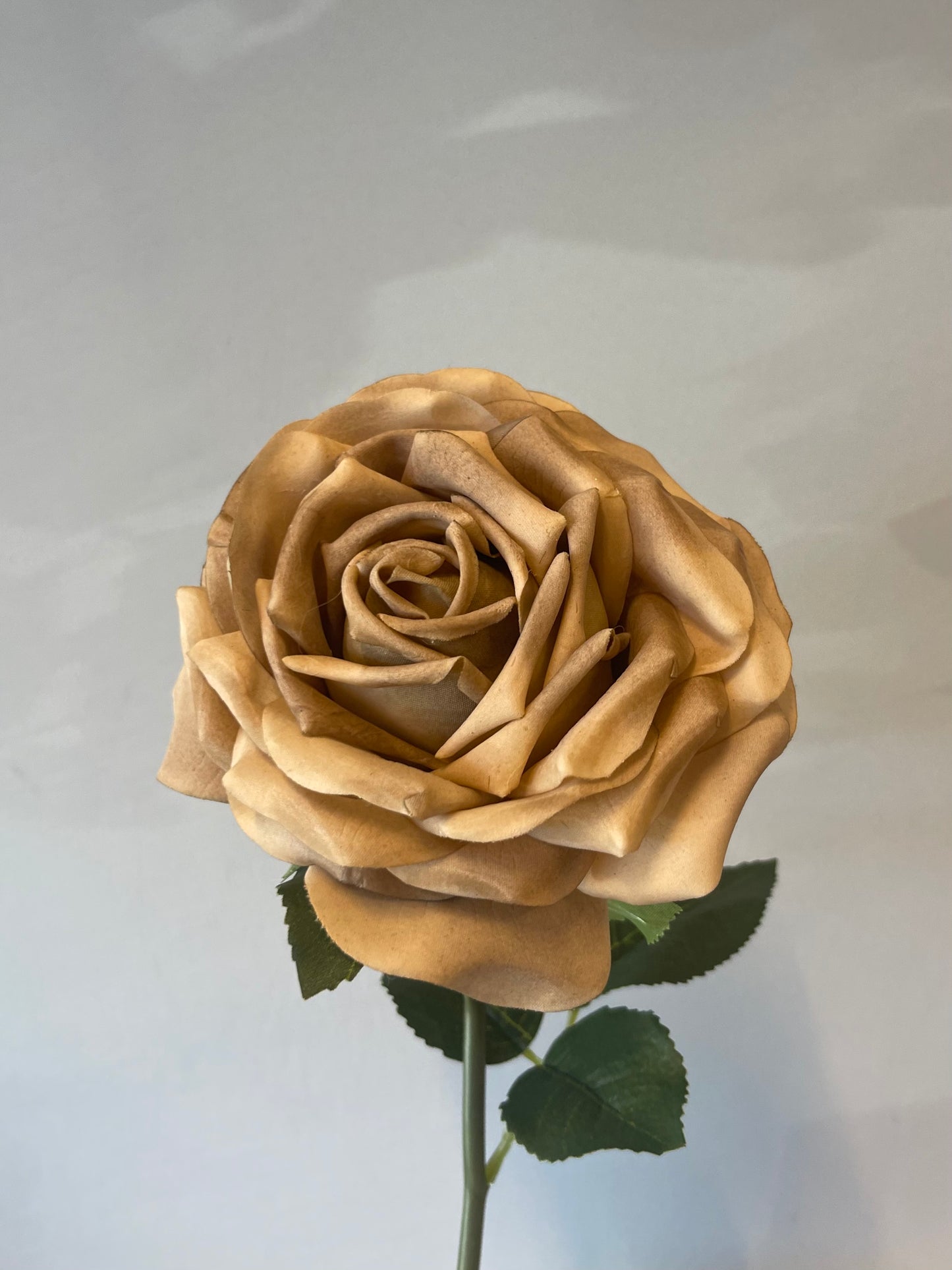 Real Touch Bella Rose Coffee Single Stem Artificial Flowers Faux Flowers