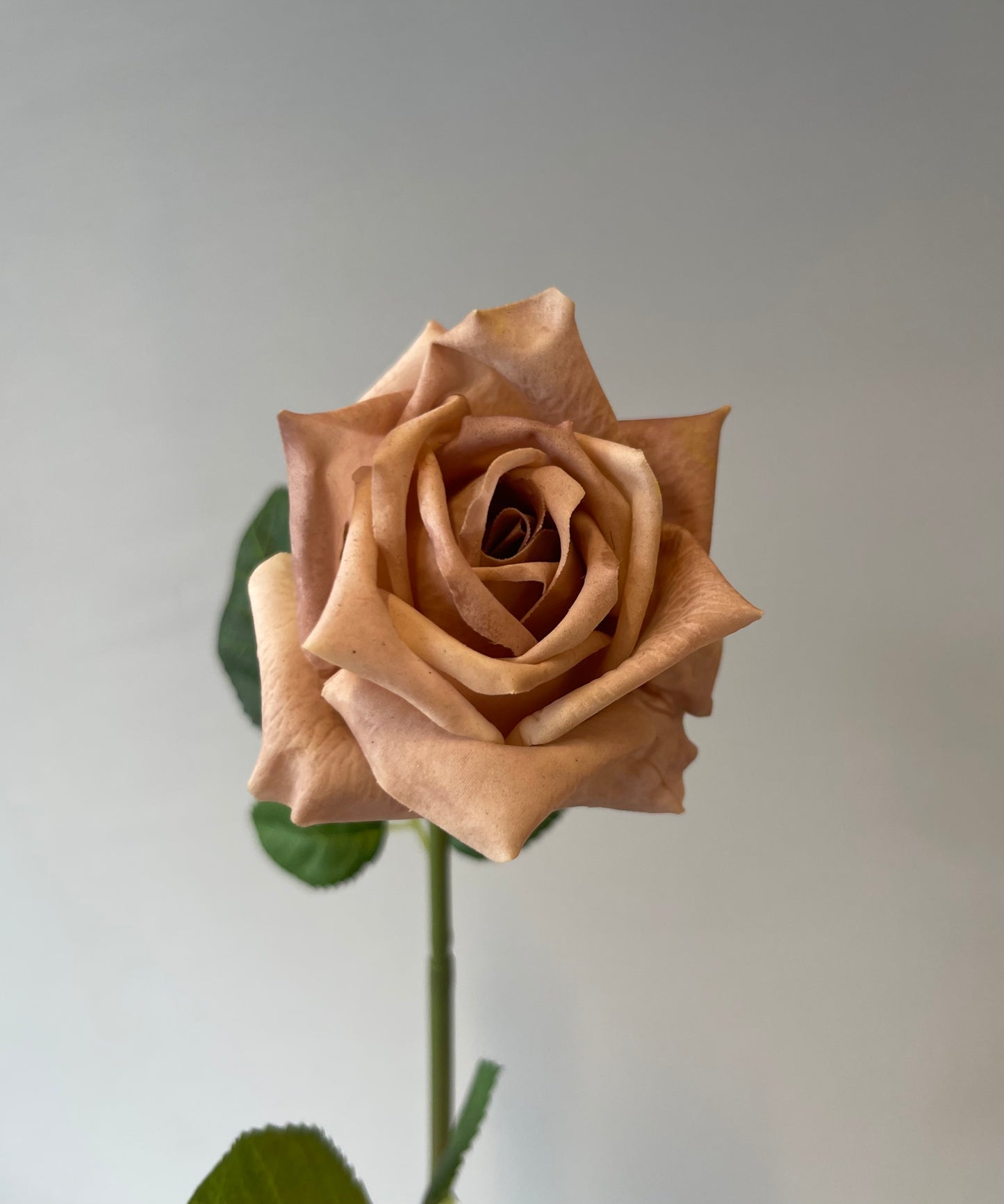 Real Touch Coffee Lola Rose Single Stem Artificial Flowers