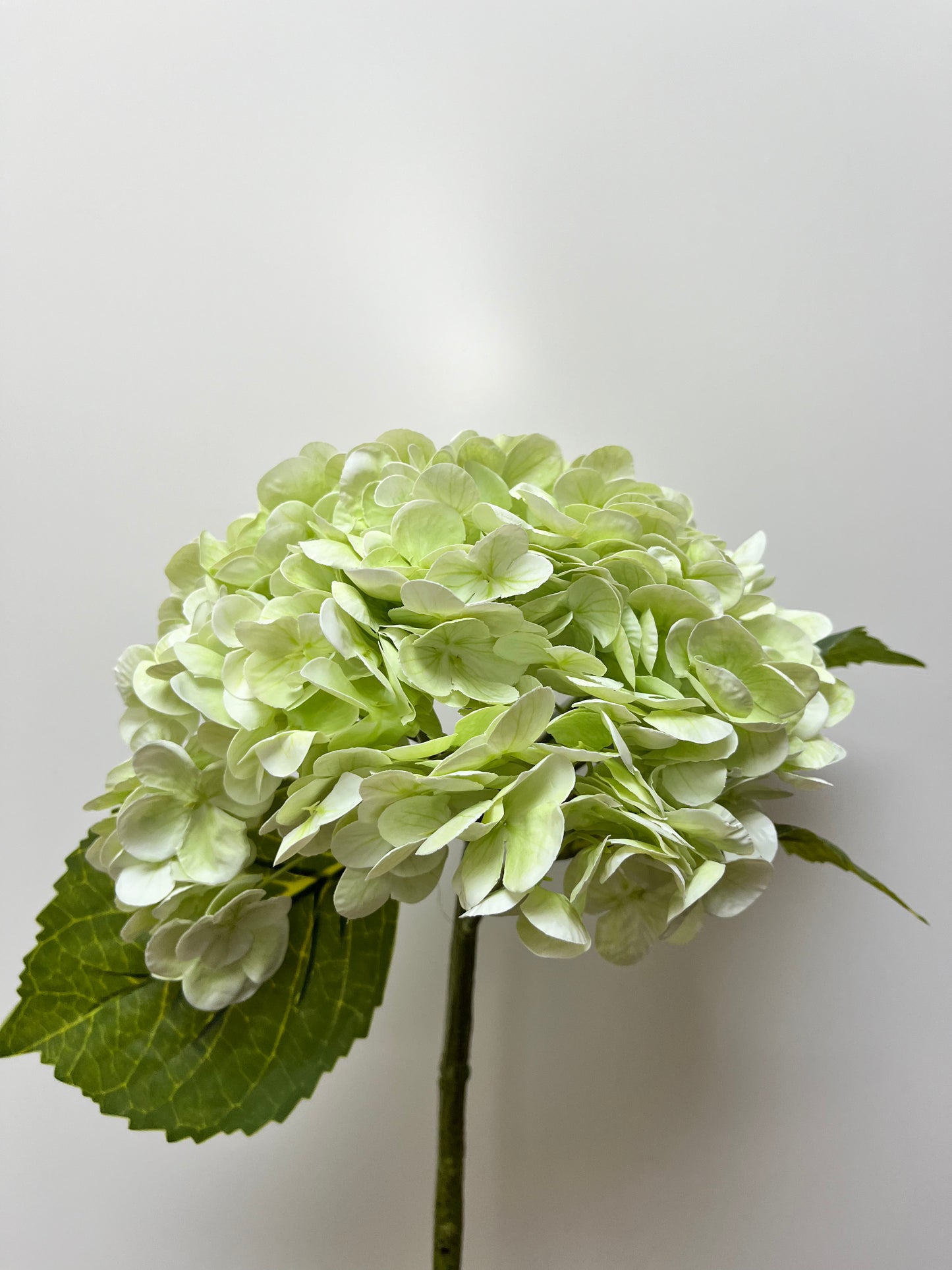 Real Touch Light Green Hydrangea Single Stem Artificial Flowers Faux Flowers