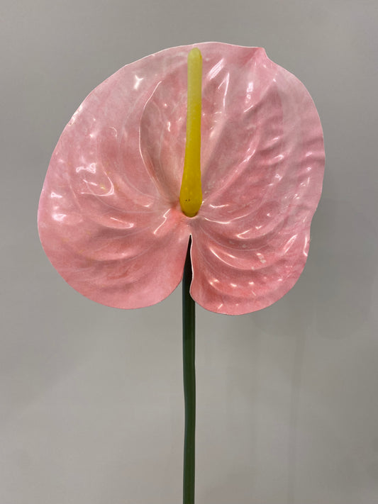 Blush Anthurium Single Stem Artificial Flowers Faux Flowers
