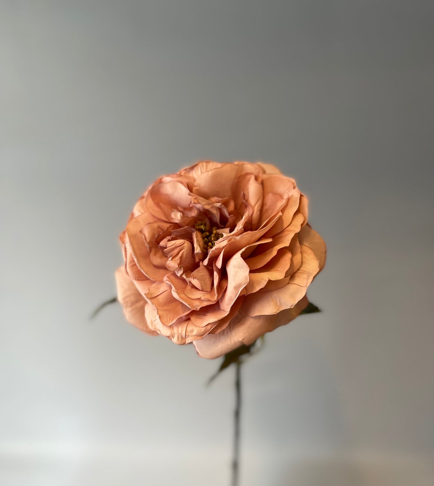 Peach Livia Queen Rose Single Stem Artificial Flowers Faux Flowers
