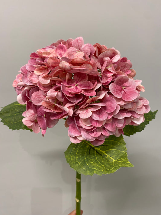 Real Touch Burgundy Hydrangea Single Stem N1