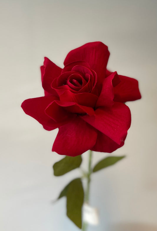 Single Stem Roses Single Stem Collection - Flower Delivery - Bouquet - Flowers ...