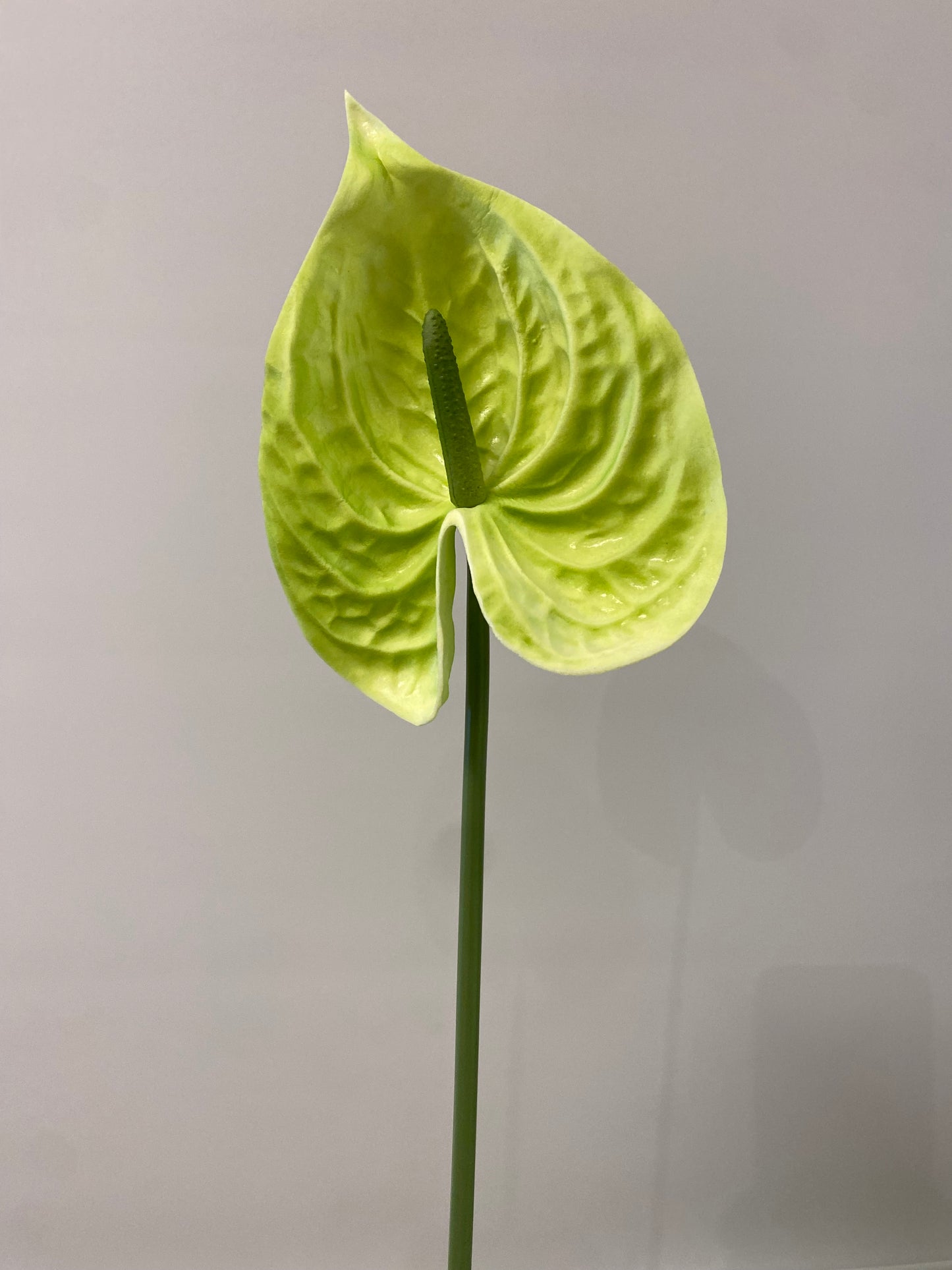 Real Touch Green Anthurium single stem Artificial Faux Flowers Small