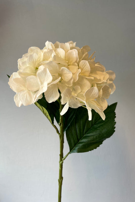 White Silk Hydrangea Single Stem