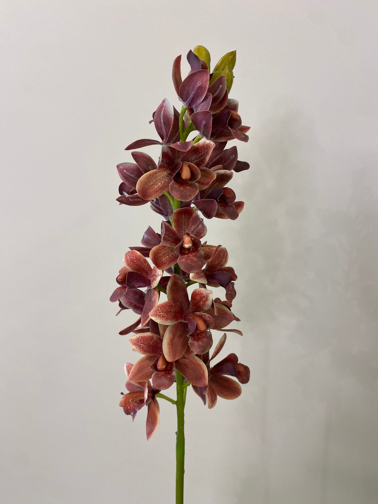 Real Touch Burgundy Orchid Cymbidium Single Stem Artificial Faux Flowers