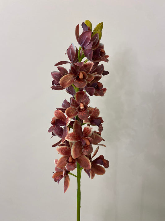Real Touch Burgundy Orchid Cymbidium Single Stem Artificial Faux Flowers