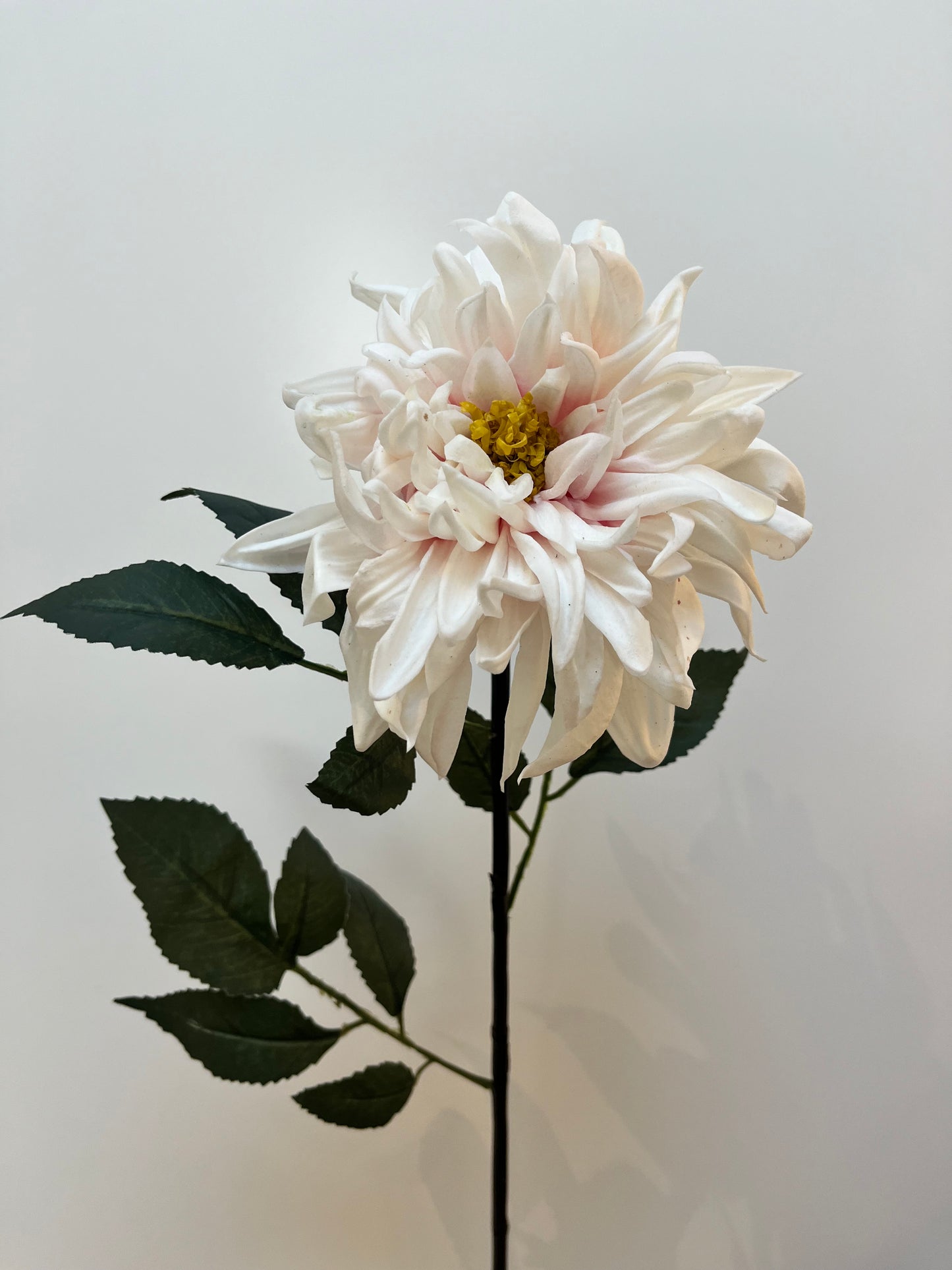 Real Touch White & Pink Dahlia