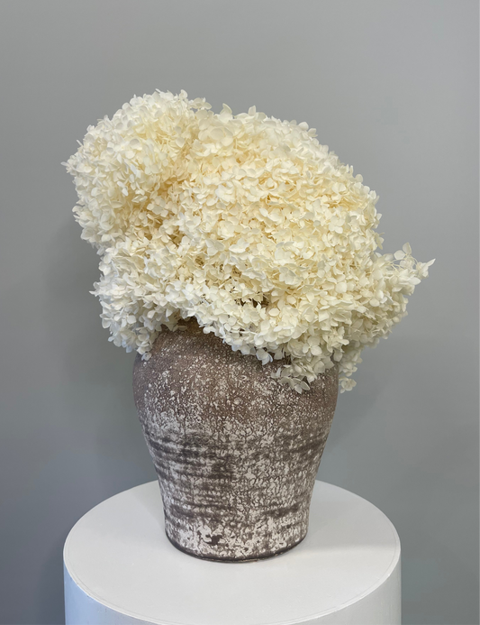Elissa Dried Hydrangea Arrangement and ceramic vase