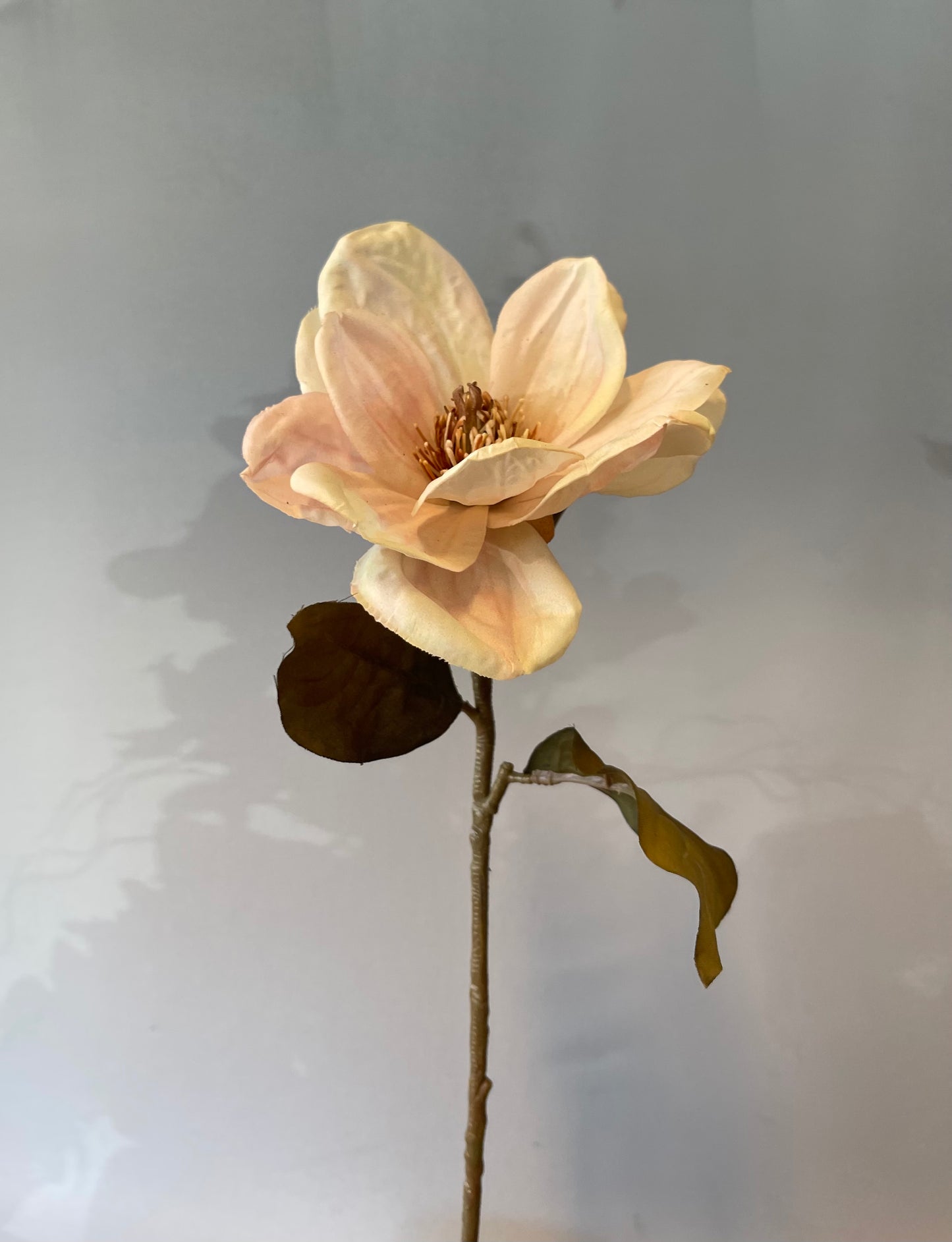 Cream Magnolia Artificial Flower Single Stem