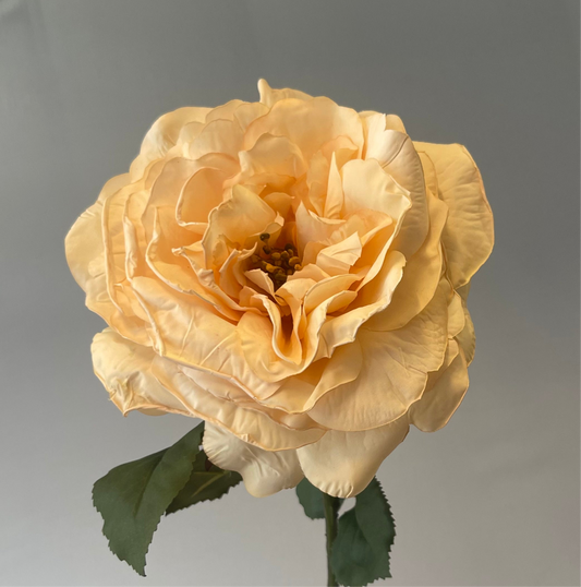 Livia Queen Rose Champagne Single Stem Artificial Flowers Faux Flowers