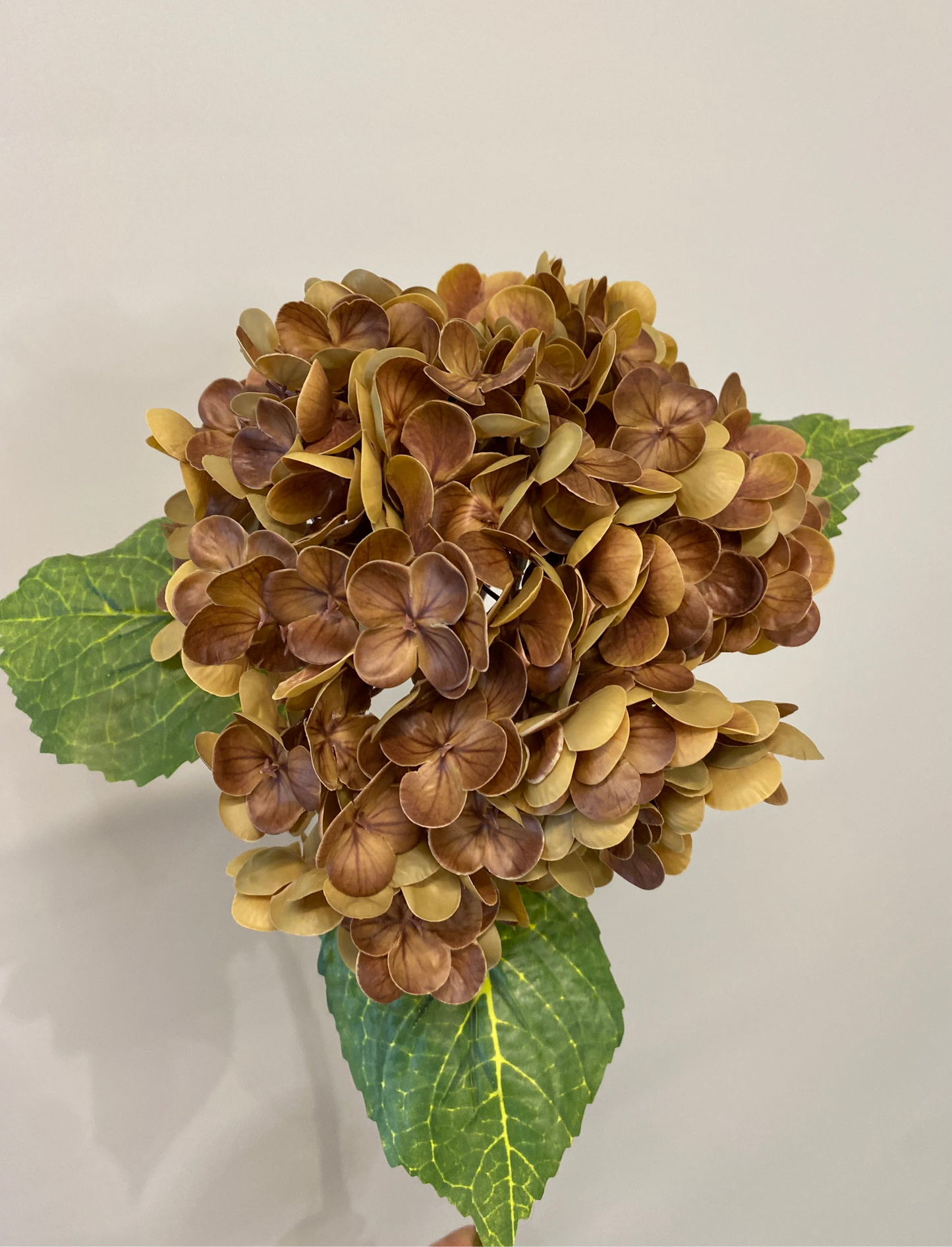 Real Touch Brown Hydrangea Single Stem Artificial Flower