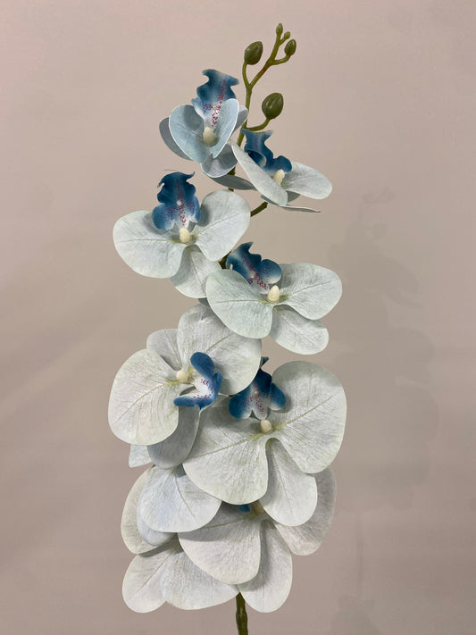 Denim Blue Orchid Single Stem