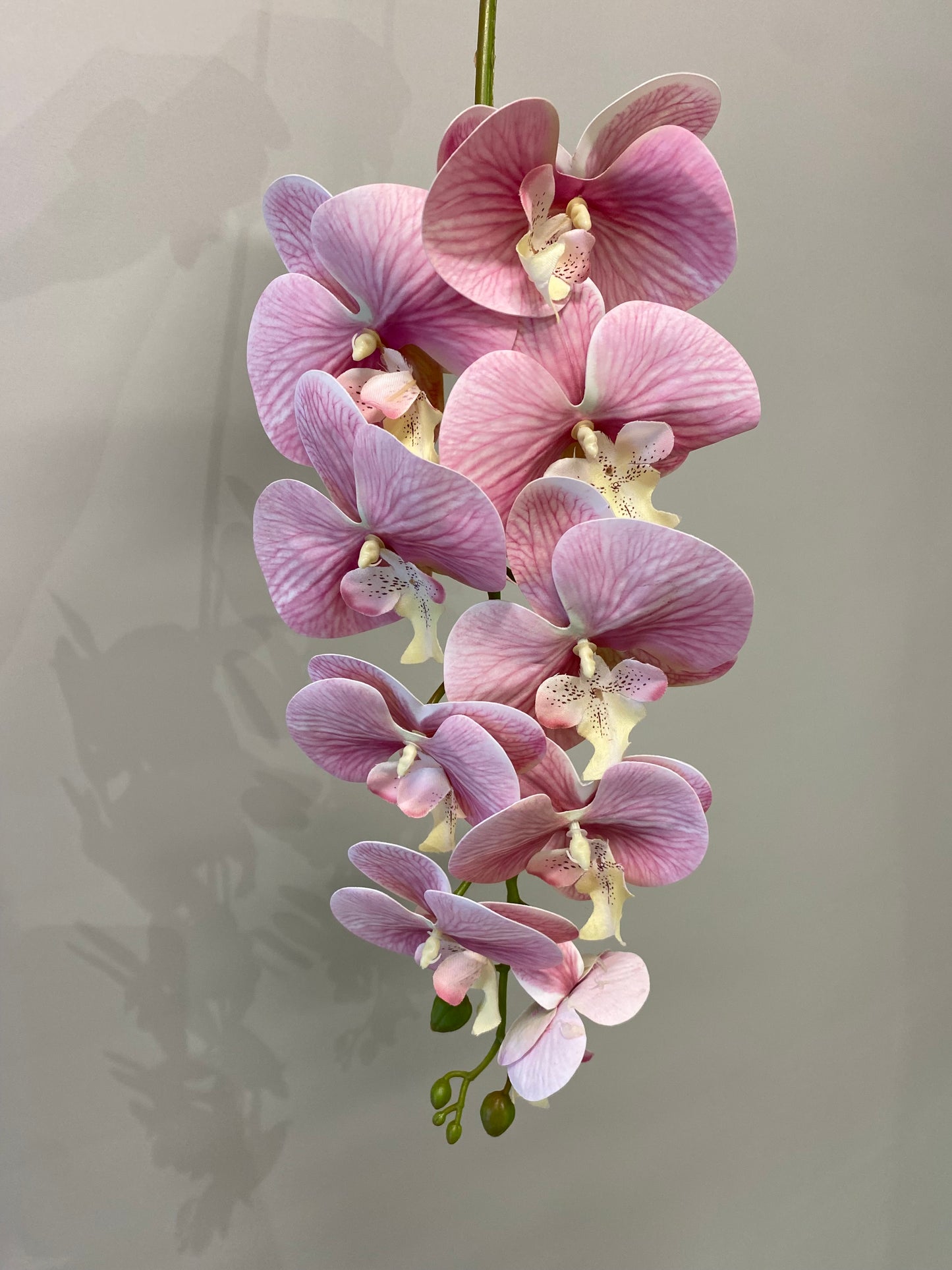 Water Melon Pink Orchid Single Stem Artificial Flower