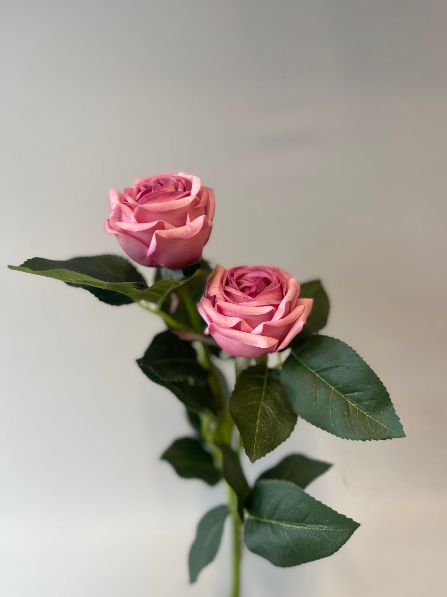 Real Touch Mauve Ariel Rose Spray Single Stem Artificial Flowers Faux Flowers