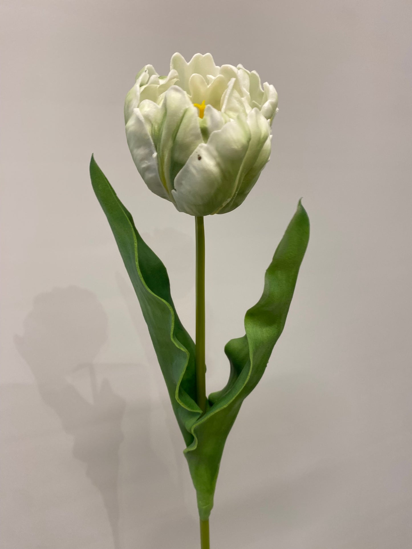 Real Touch White Open Tulip  Single Stem Artificial Faux Flowers LT