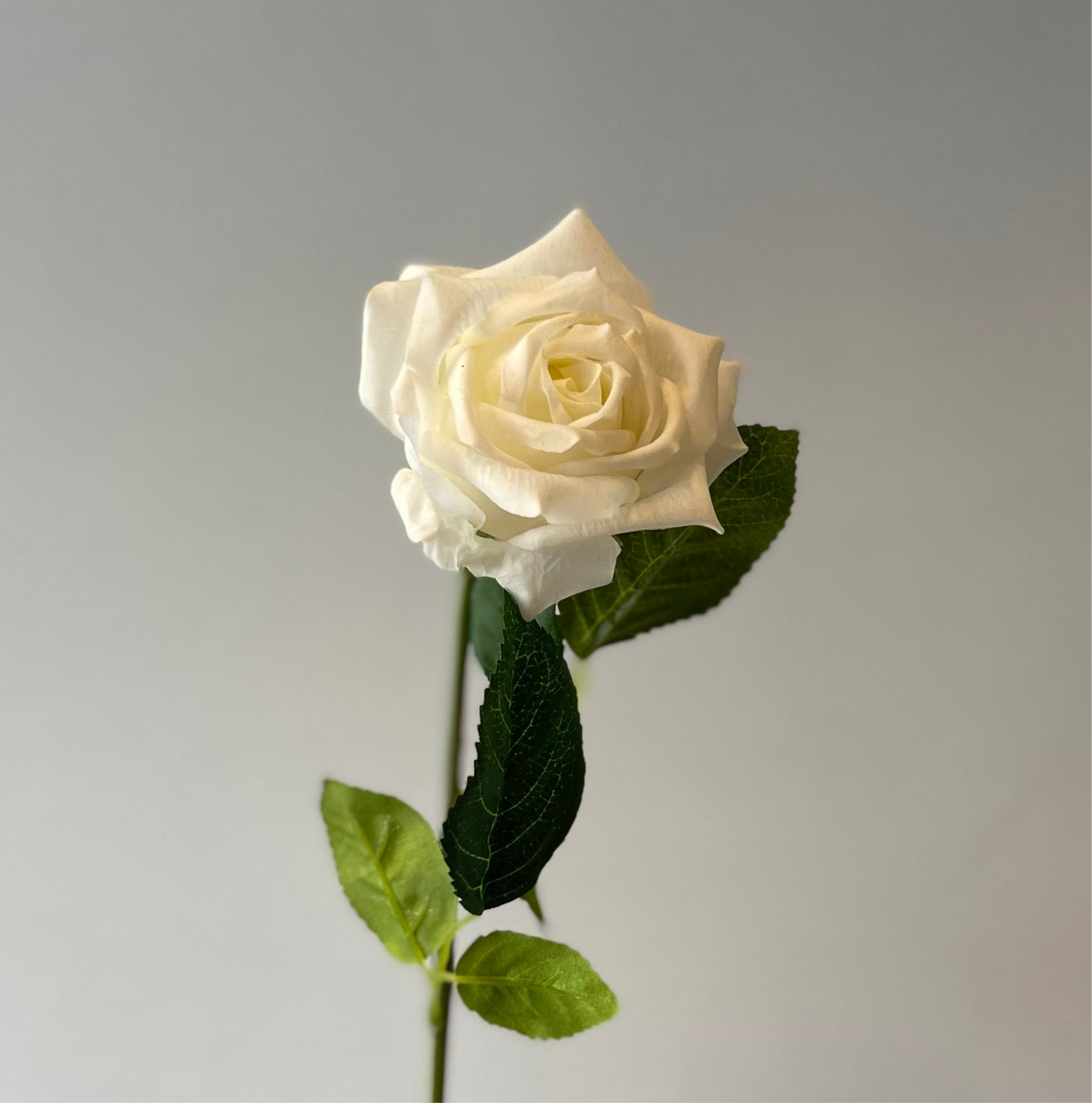 Real Touch White Lola Rose   (Artificial flowers Faux Flowers)