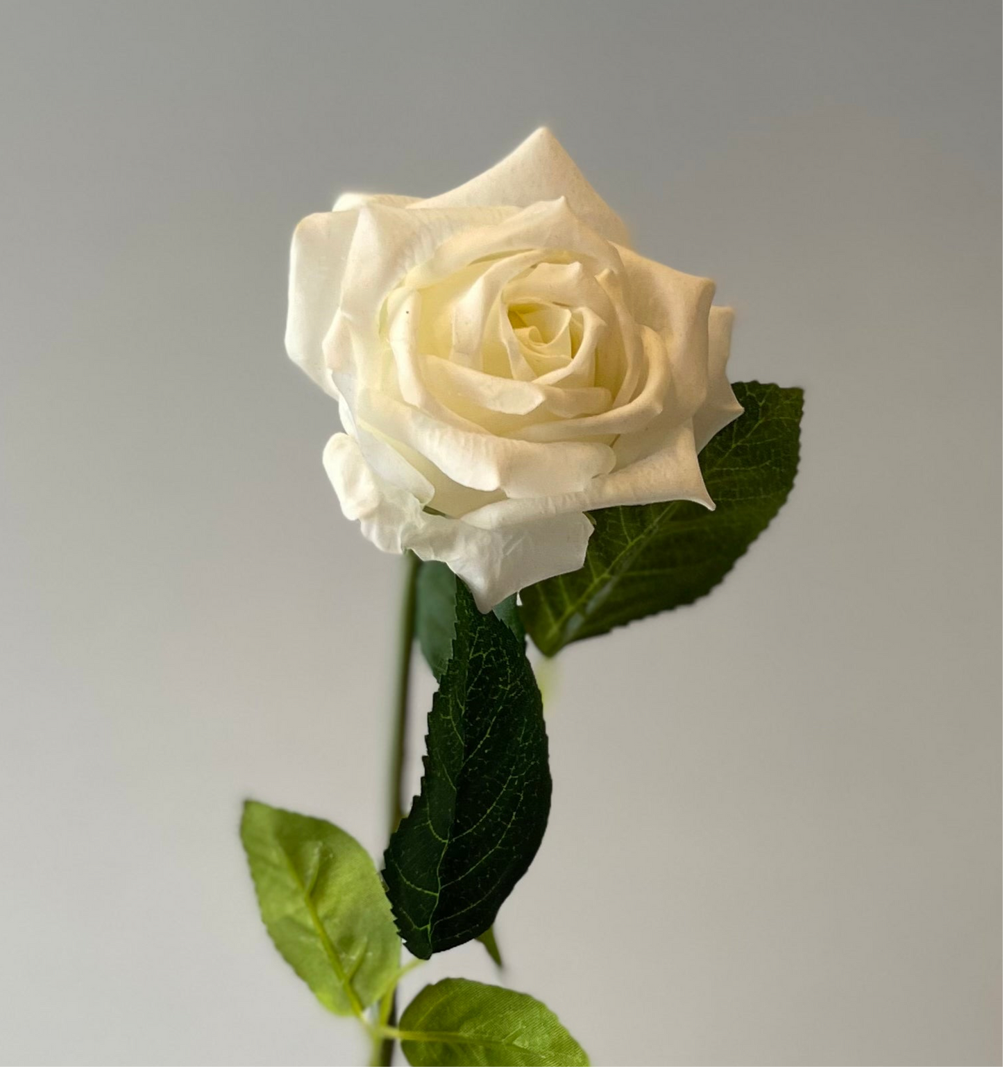Real Touch White Lola Rose   (Artificial flowers Faux Flowers)