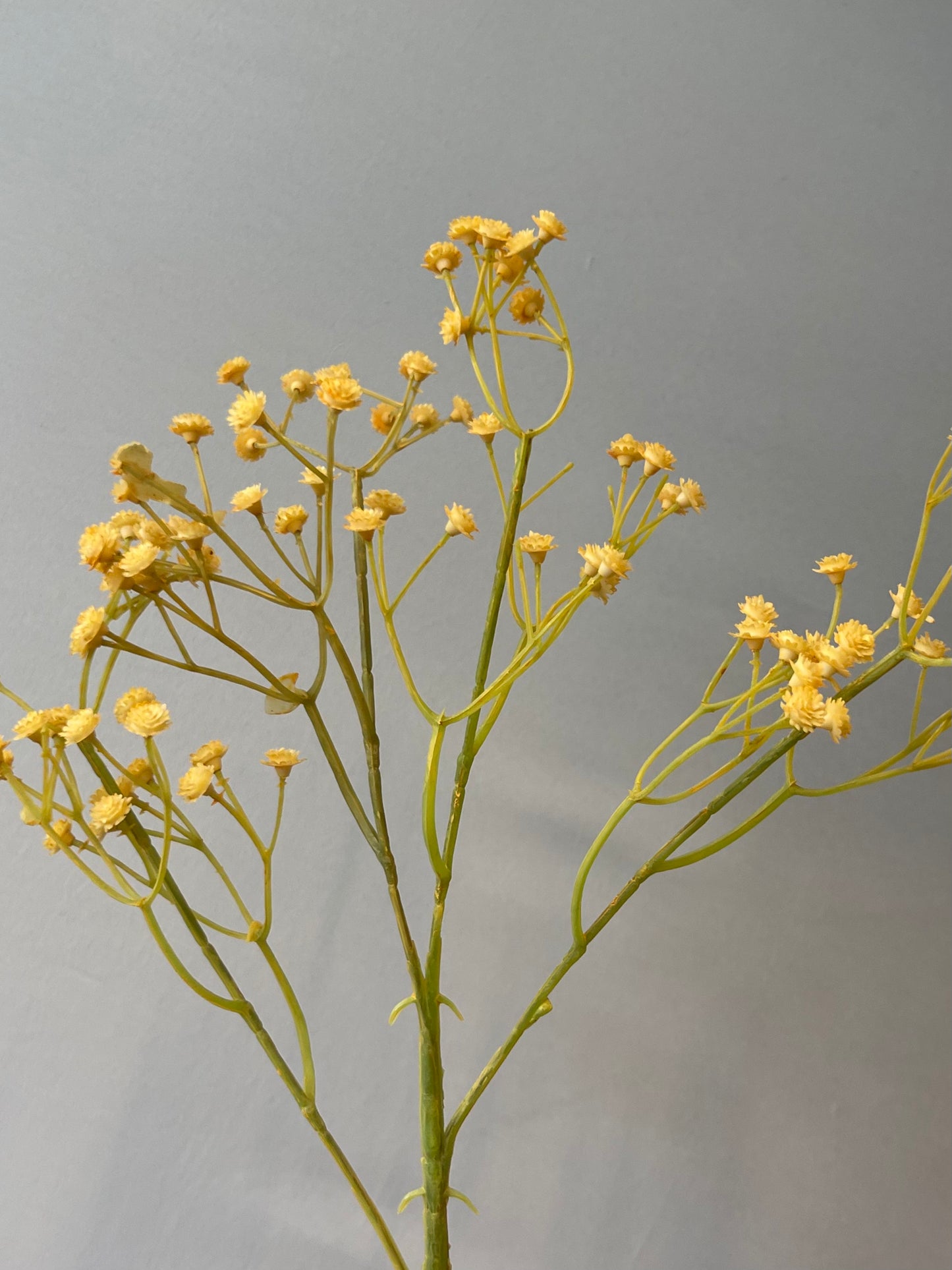 Yellow Honey Baby’s Breath Single Stem Artificial Flower Faux Flower