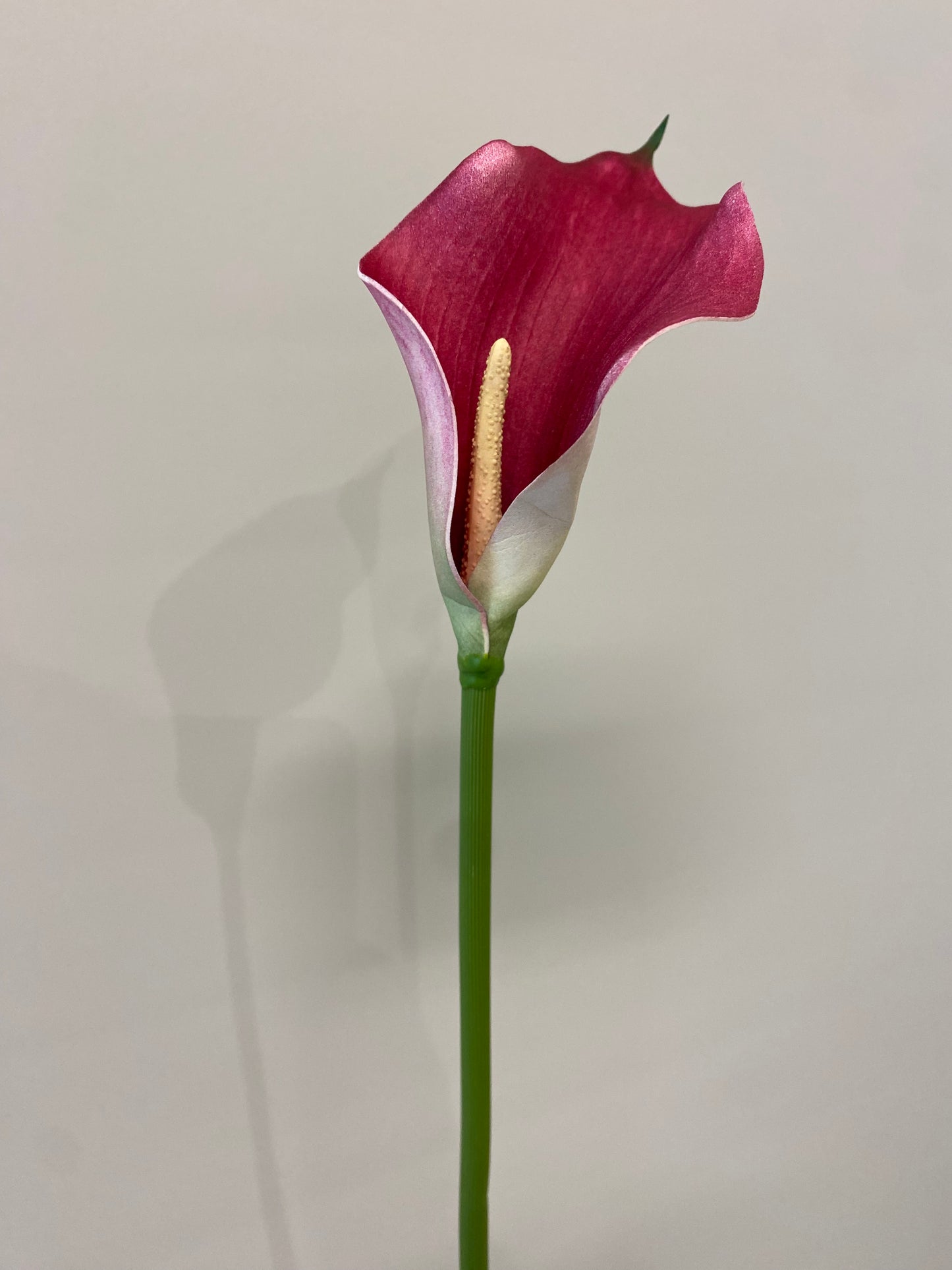 Real Touch Burgundy Calla Lily Single Stem Artificial Flowers Faux Flowers