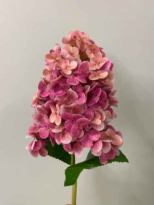Hydrangea Paniculata Cone Real Touch Burgundy Single Stem - Artificial Flowers