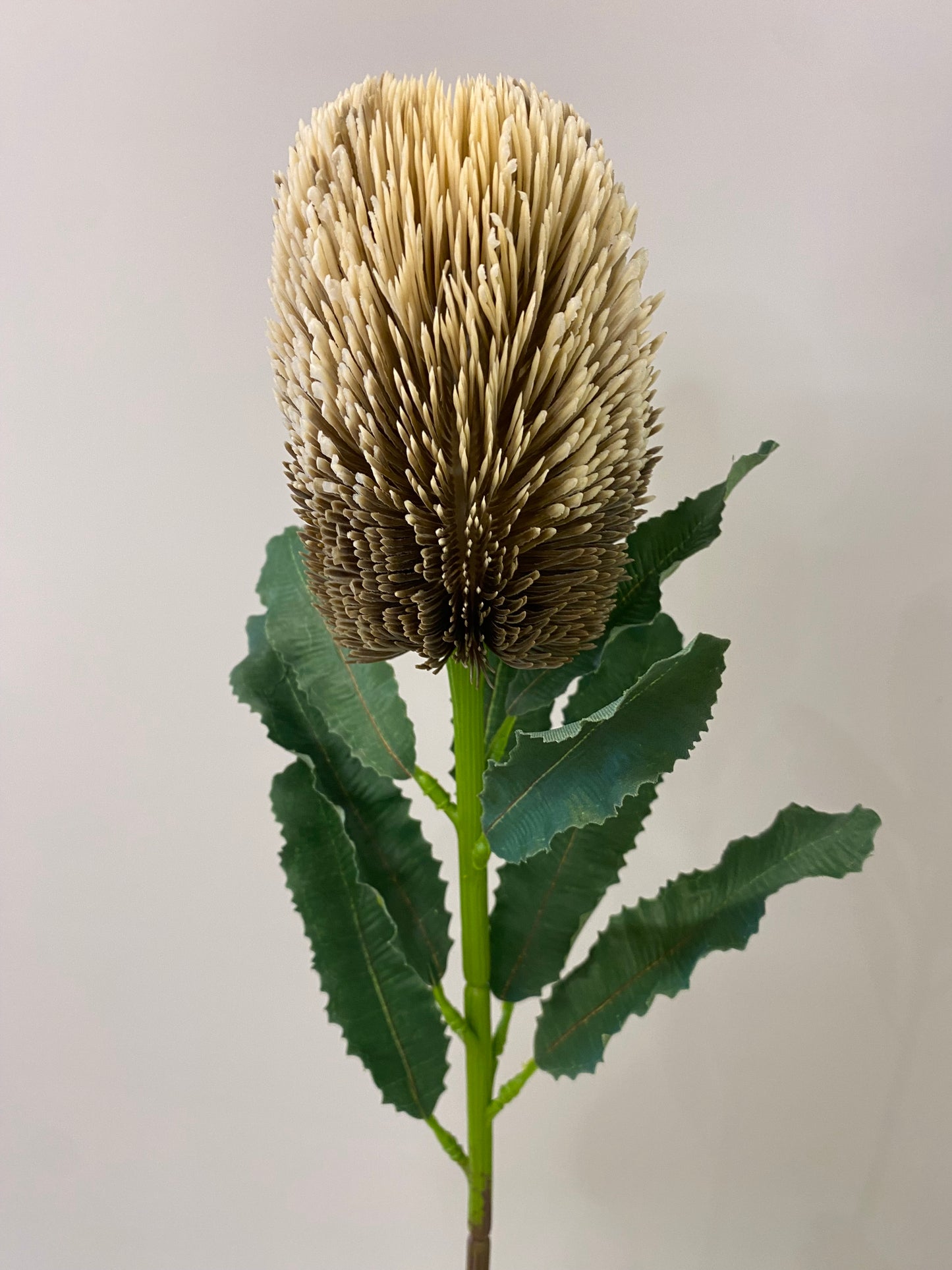 Brown Banksia Artificial Single Stem Artificial Flowers