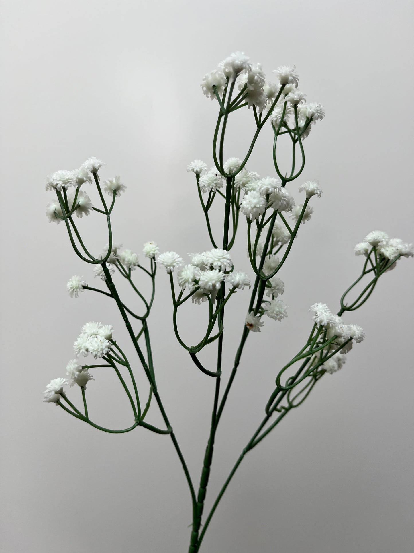 Real Touch White Baby's Breath – Catherine Phillips Real Touch ...