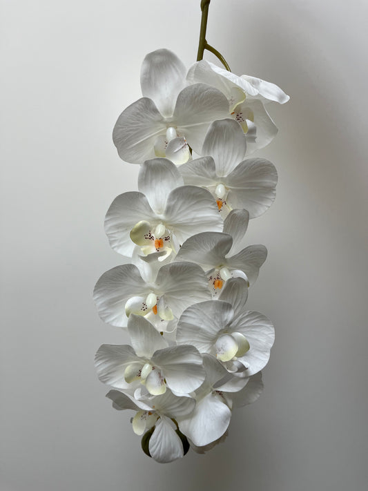 Real Touch White Orchid Single Stem B1    (Artificial flowers Faux Flowers)
