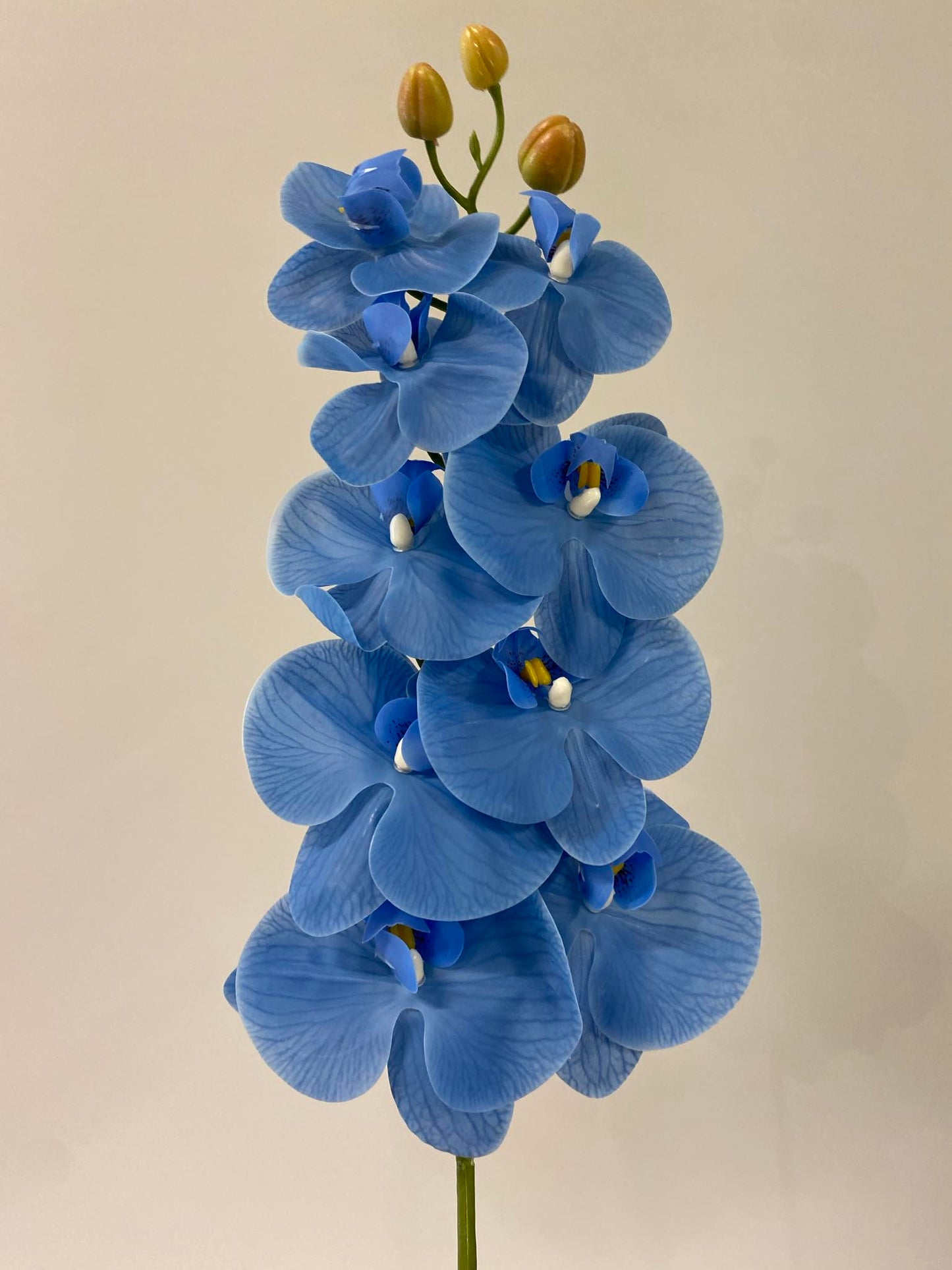 Ocean Blue Orchid Single Stem   (Artificial flowers Faux Flowers)
