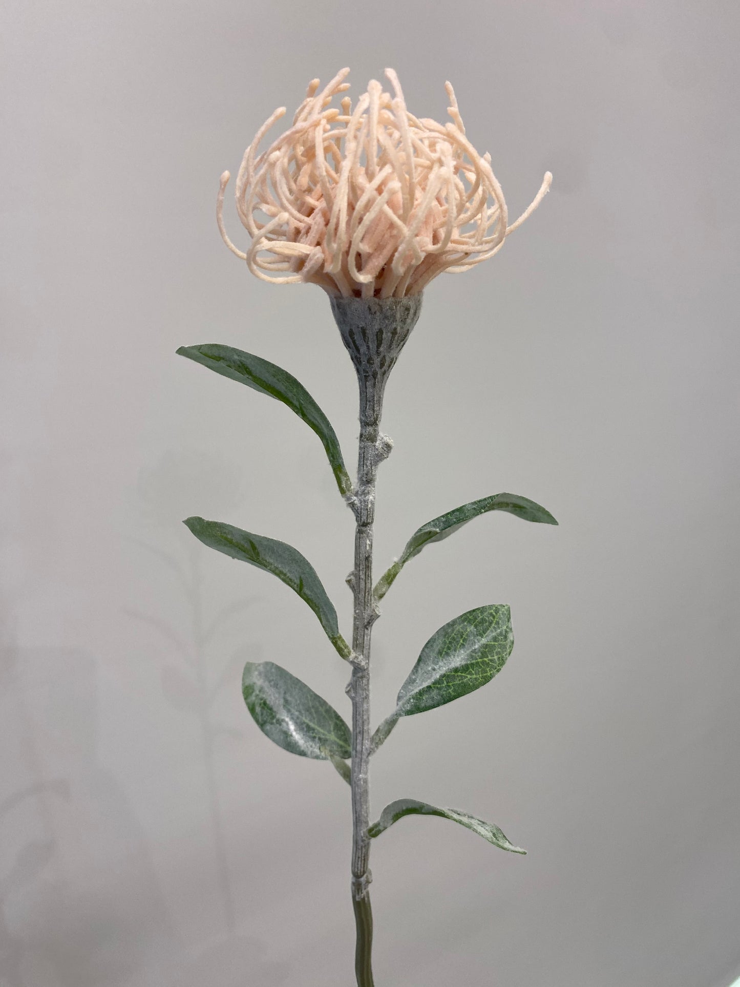 Soft Pink Protea Leucospemum Single Stem Artificial Flowers,