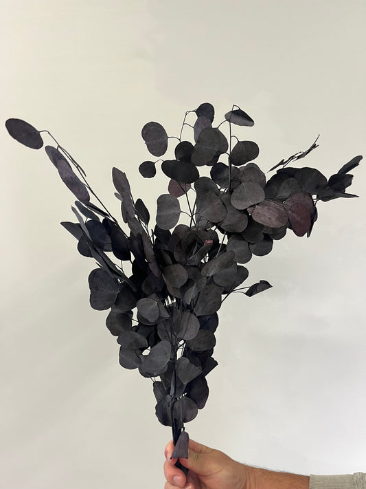Dark Purple Polygum Leaf Bunch